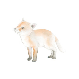 How to Draw: Baby Animals dans le groupe Loisirs créatifs / Livres / Livres d'instruction chez Pen Store (137223)