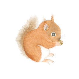 How to Draw: Baby Animals dans le groupe Loisirs créatifs / Livres / Livres d'instruction chez Pen Store (137223)