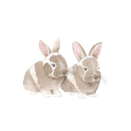 How to Draw: Baby Animals dans le groupe Loisirs créatifs / Livres / Livres d'instruction chez Pen Store (137223)
