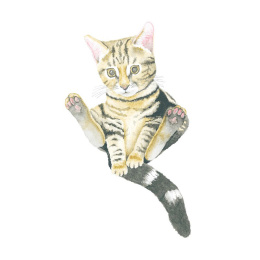 How to Draw: Baby Animals dans le groupe Loisirs créatifs / Livres / Livres d'instruction chez Pen Store (137223)