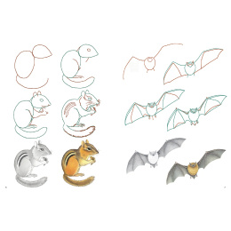 How to Draw: Nature dans le groupe Loisirs créatifs / Livres / Livres d'instruction chez Pen Store (137224)
