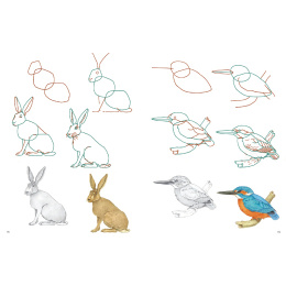 How to Draw: Nature dans le groupe Loisirs créatifs / Livres / Livres d'instruction chez Pen Store (137224)