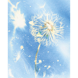 Loose and Lively Flowers in Watercolour, Inks & Mixed Media dans le groupe Loisirs créatifs / Livres / Livres pour inspiration chez Pen Store (137226)