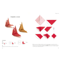 Origami for the Absolute Beginner dans le groupe Loisirs créatifs / Livres / Livres d'instruction chez Pen Store (137227)