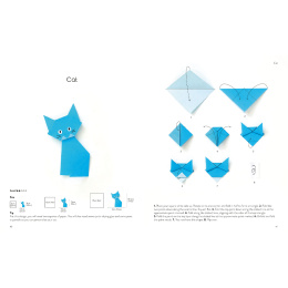 Origami for the Absolute Beginner dans le groupe Loisirs créatifs / Livres / Livres d'instruction chez Pen Store (137227)