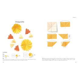 Origami for the Absolute Beginner dans le groupe Loisirs créatifs / Livres / Livres d'instruction chez Pen Store (137227)
