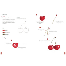 Paint 50: Watercolour Nature dans le groupe Loisirs créatifs / Livres / Livres d'instruction chez Pen Store (137229)