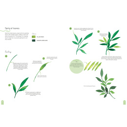 Paint 50: Watercolour Nature dans le groupe Loisirs créatifs / Livres / Livres d'instruction chez Pen Store (137229)