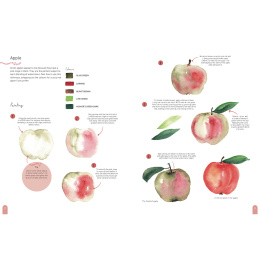 Paint 50: Watercolour Nature dans le groupe Loisirs créatifs / Livres / Livres d'instruction chez Pen Store (137229)