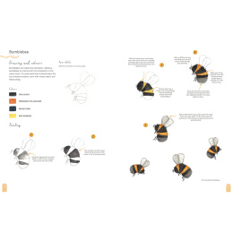 Paint 50: Watercolour Nature dans le groupe Loisirs créatifs / Livres / Livres d'instruction chez Pen Store (137229)
