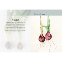 The Colour Mixing Guide: Watercolour Botanicals dans le groupe Loisirs créatifs / Livres / Livres pour inspiration chez Pen Store (137234)