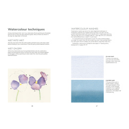 The Colour Mixing Guide: Watercolour Botanicals dans le groupe Loisirs créatifs / Livres / Livres pour inspiration chez Pen Store (137234)