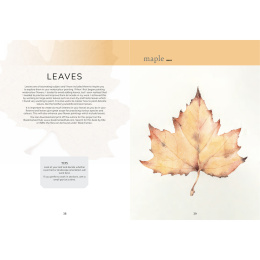 The Colour Mixing Guide: Watercolour Botanicals dans le groupe Loisirs créatifs / Livres / Livres pour inspiration chez Pen Store (137234)