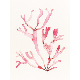 The Colour Mixing Guide: Watercolour Seashore dans le groupe Loisirs créatifs / Livres / Livres pour inspiration chez Pen Store (137235)