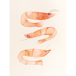 The Colour Mixing Guide: Watercolour Seashore dans le groupe Loisirs créatifs / Livres / Livres pour inspiration chez Pen Store (137235)