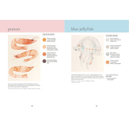 The Colour Mixing Guide: Watercolour Seashore dans le groupe Loisirs créatifs / Livres / Livres pour inspiration chez Pen Store (137235)