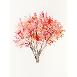 The Colour Mixing Guide: Watercolour Woodland dans le groupe Loisirs créatifs / Livres / Livres pour inspiration chez Pen Store (137236)