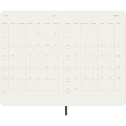 Calendrier 12M Daily 2027 Softcover Pocket Myrtle Green dans le groupe Papiers & Blocs / Calendriers et agendas / Calendriers 12 mois chez Pen Store (137431)