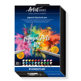 Pigment Arts Big Brush Pen ensemble de 30 + dans le groupe Stylos / Crayons d'artistes / Feutres pinceaux chez Pen Store (137632)