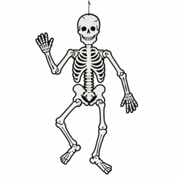 Squelette phosphorescent 120 cm dans le groupe Kids / Fêtes / saison pour enfants /  Halloween des enfants chez Pen Store (138370)